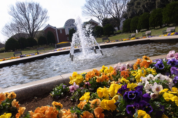 120406 14 RIMG2598.jpg